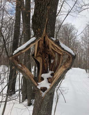 Screenshot 2026-01-28 at 17-40-46 Ben Olson (@radiobenolson) _ X.png