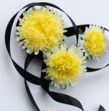 Screenshot 2026-10-10 at 07-08-17 Mitgefühl Zeigen Mit Den Richtigen Trauerblumen Symbolik & Bedeutung.png