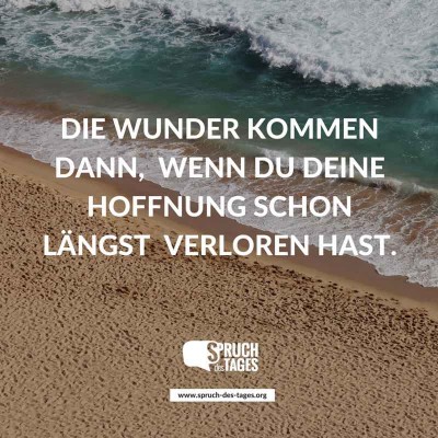 die-wunder-kommen-dann-wenn-du-deine-hoffnung-schon-laengst-verloren-hast.jpg